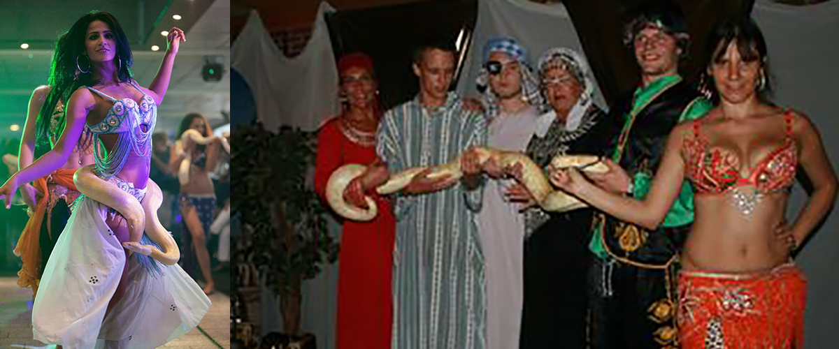 Green Pythons Show